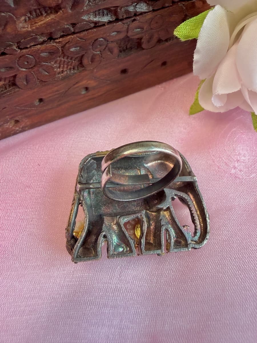 Ring-0047 view 2