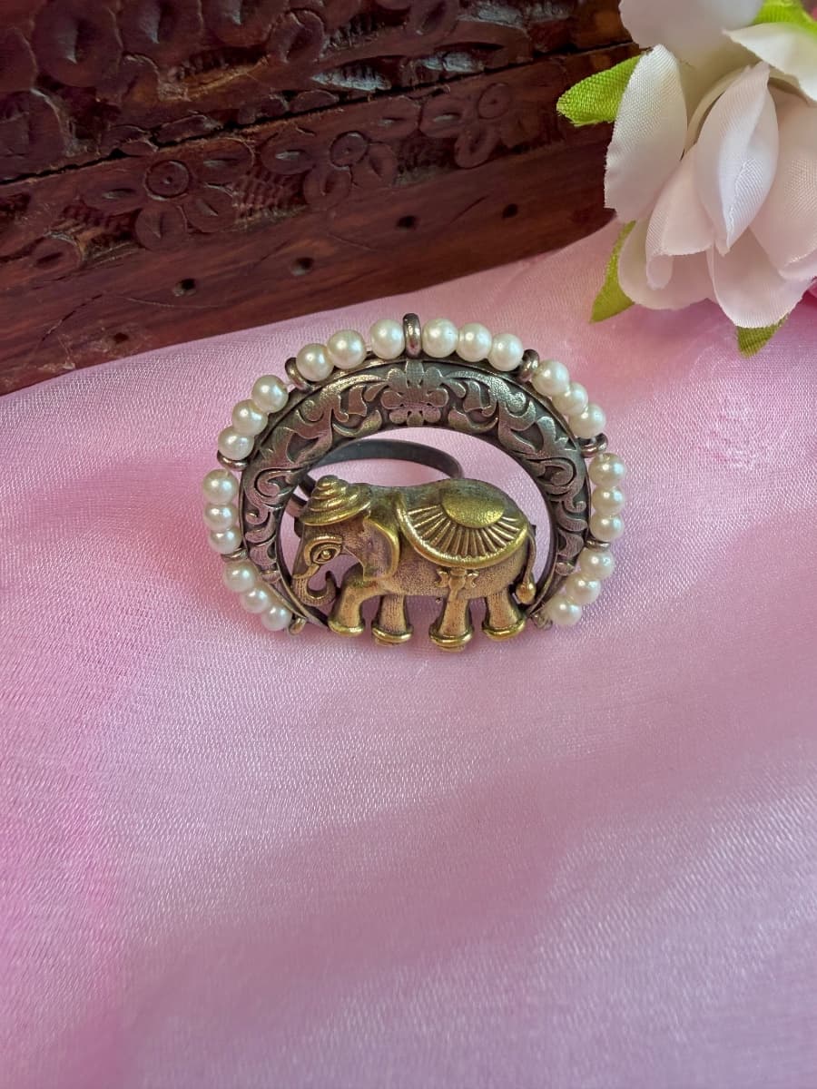 Ring-0048 view 1